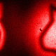 Illustration for article titled Schrödingers Cat, Caught on Camera